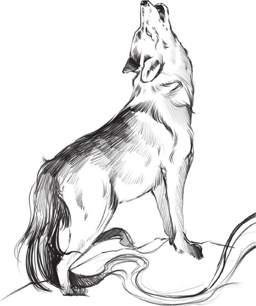 Изображение товара Книга АСТ Легенды квилетов (Невельсон О. 9785171725952)