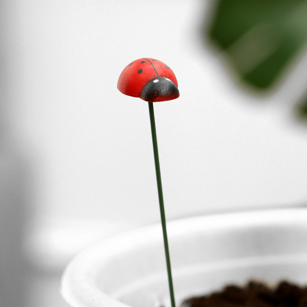 Изображение товара Украшение для сада Take It Easy Штекер Божья коровка дарли / 10421823 (20шт)