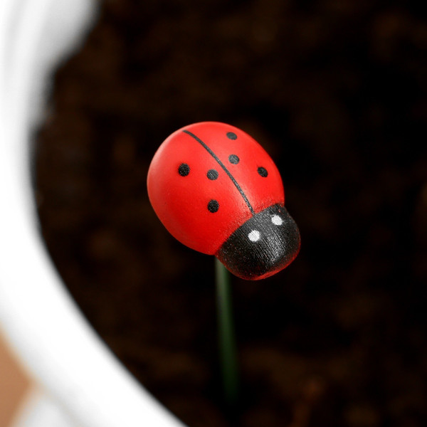 Изображение товара Украшение для сада Take It Easy Штекер Божья коровка дарли / 10421823 (20шт)