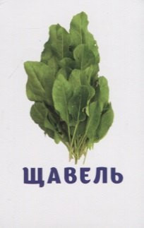 Изображение товара Развивающие карточки Улыбка Овощи и зелень (4607929349164)