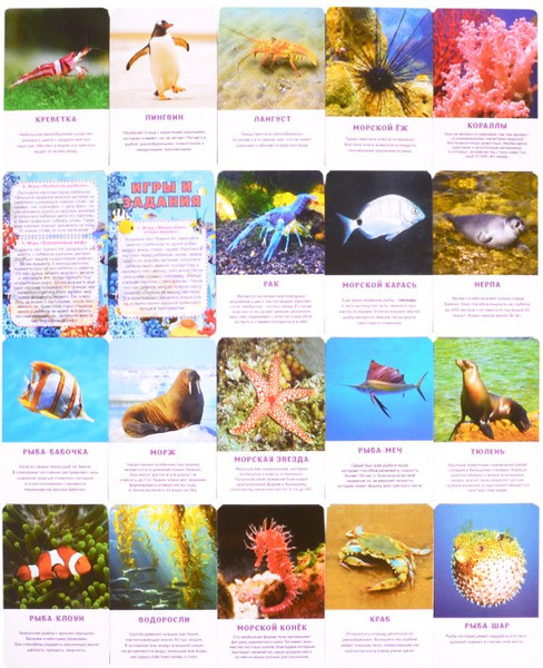 Изображение товара Развивающая книга Улыбка Морские обитатели (4607929349188)