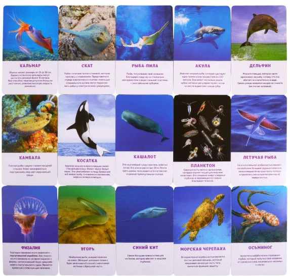 Изображение товара Развивающая книга Улыбка Морские обитатели (4607929349188)