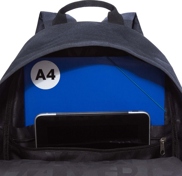 Изображение товара Рюкзак Grizzly RQL-417-7 (черный)