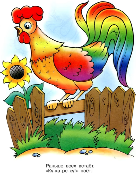 Изображение товара Раскраска Самовар Загадки. Сборник, мягкая обложка