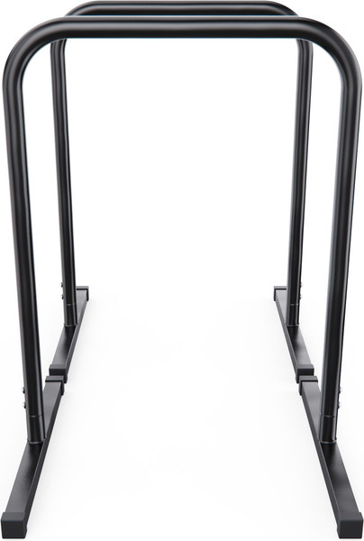 Изображение товара Брусья DFC R0342B