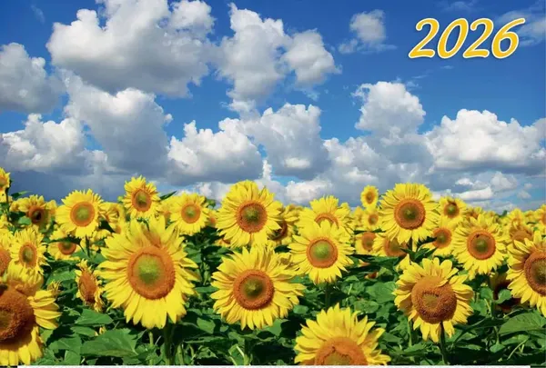 Изображение товара Календарь настенный Атберг 98 Подсолнухи в поле (4610150101241)