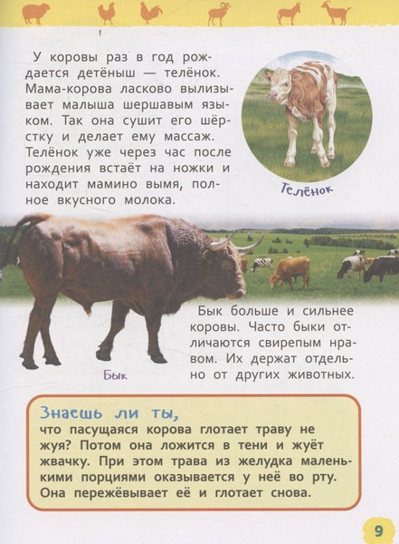 Изображение товара Энциклопедия Росмэн Домашние животные. Для детского сада (Травина Ирина 9785353113751)