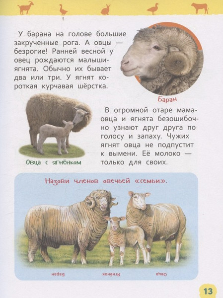 Изображение товара Энциклопедия Росмэн Домашние животные. Для детского сада (Травина Ирина 9785353113751)