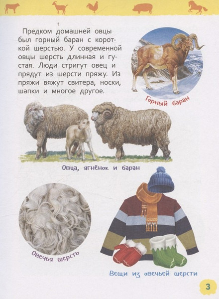 Изображение товара Энциклопедия Росмэн Домашние животные. Для детского сада (Травина Ирина 9785353113751)