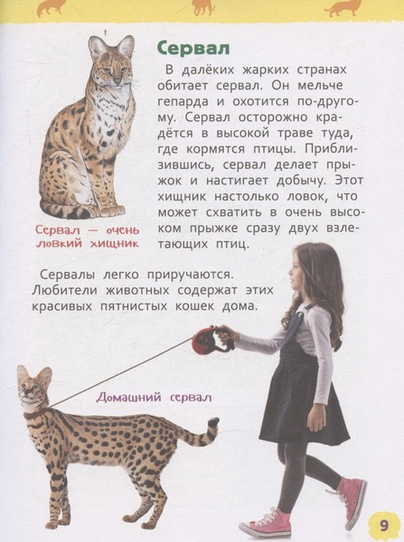 Изображение товара Энциклопедия Росмэн Дикие животные. Для детского сада (9785353114680)