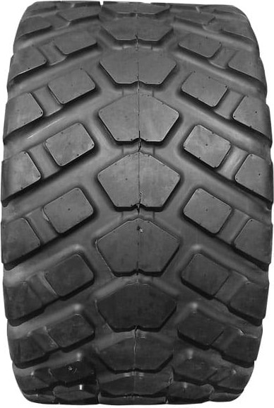 Изображение товара Сельскохозяйственная шина Tianli R-King 500/45R22.5 146D TL