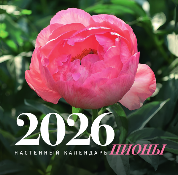 Изображение товара Календарь настенный АСТ Пионы. 2026 год (Аристархова Любовь 9785171658861)
