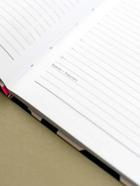 Изображение товара Ежедневник Феникс+ Diary. Леопард / 71549