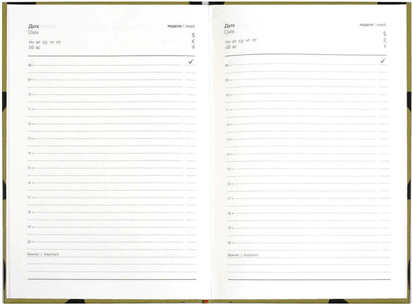 Изображение товара Ежедневник Феникс+ Diary. Сердца / 71550