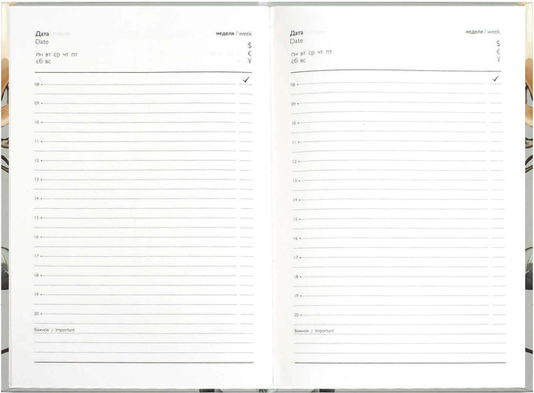 Изображение товара Ежедневник Феникс+ Diary. Магнолия / 71551