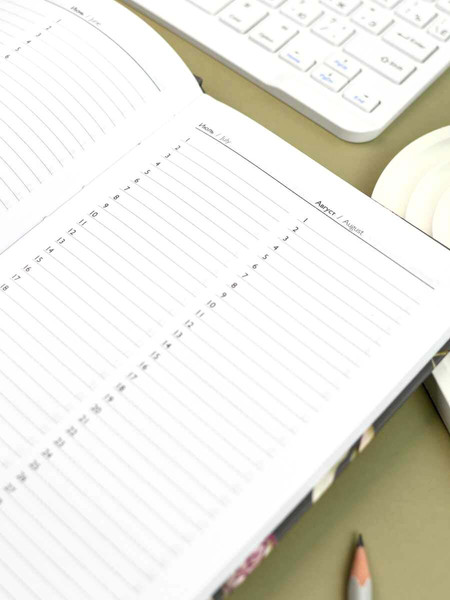 Изображение товара Ежедневник Феникс+ Diary. Протея / 71552