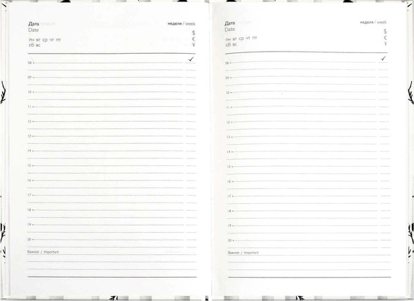 Изображение товара Ежедневник Феникс+ Diary. Береза / 71554