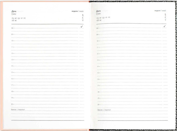 Изображение товара Ежедневник Феникс+ Diary. Стильные курочки / 71555