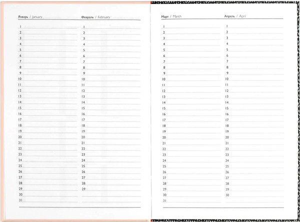 Изображение товара Ежедневник Феникс+ Diary. Стильные курочки / 71555