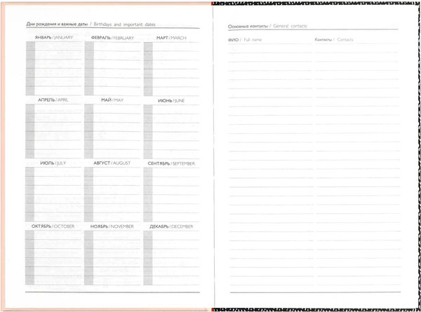 Изображение товара Ежедневник Феникс+ Diary. Стильные курочки / 71555