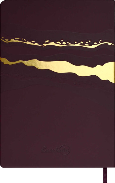 Изображение товара Ежедневник Escalada Софт-Тач / 70600 (120л, бордовый)