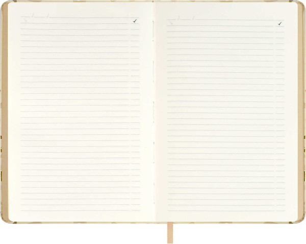 Изображение товара Ежедневник Escalada Софт-Тач / 70601 (120л, бежевый)