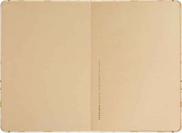 Изображение товара Ежедневник Escalada Софт-Тач / 70601 (120л, бежевый)