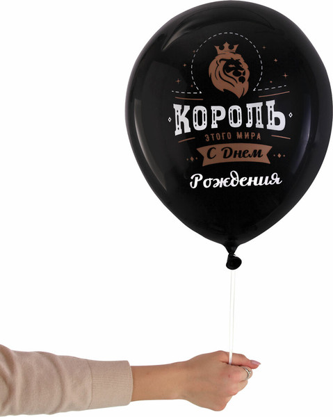 Изображение товара Набор воздушных шаров Brauberg 591891 (10шт)