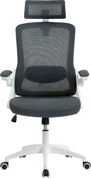 Изображение товара Кресло офисное Mio Tesoro Форли AF-C4231 (серый/белый)