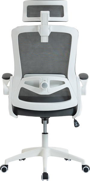 Изображение товара Кресло офисное Mio Tesoro Форли AF-C4231 (серый/белый)