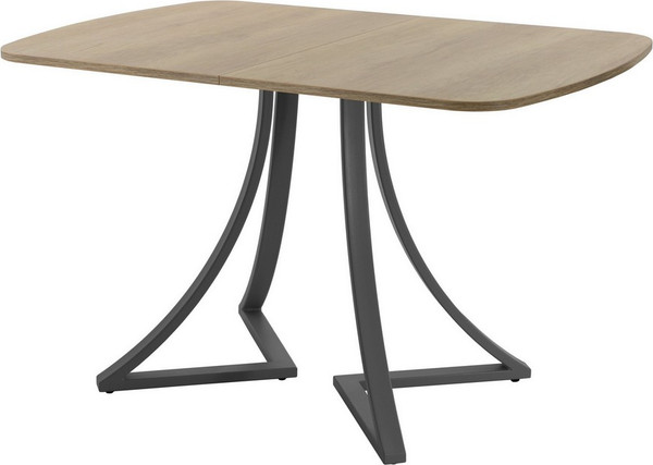 Изображение товара Обеденный стол AMC Elite Е24(1200) D2 (графит/дуб небраска натур)