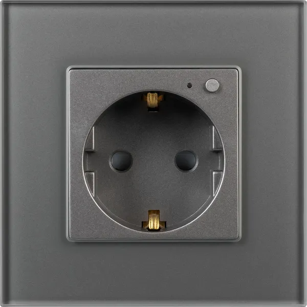 Изображение товара Умная розетка Arlight SCT-OMALI-EUZB1-PL-GR Zigbee / 050101