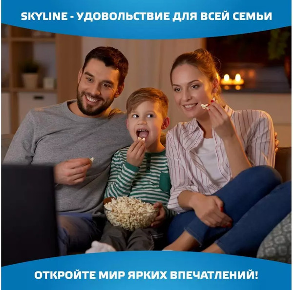 Изображение товара Телевизор SkyLine 40" / 40LST6385