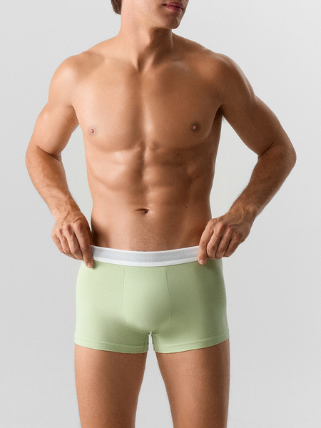 Изображение товара Комплект мужских трусов Mark Formelle 411228-2 (р.98-108, светло-зеленый/полынь)