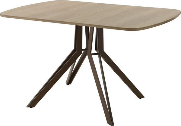 Изображение товара Обеденный стол AMC Elite Е21(1200) D2 (коричневый/дуб небраска натур)