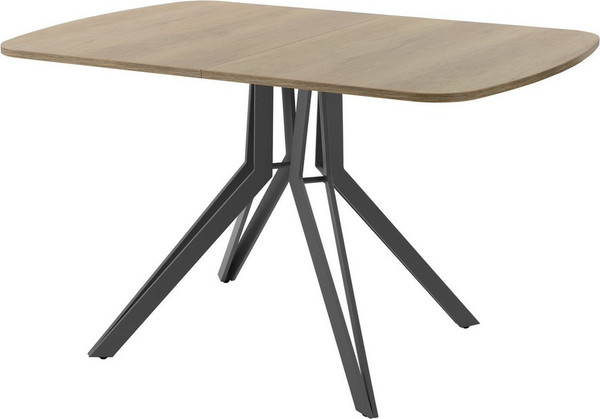 Изображение товара Обеденный стол AMC Elite Е21(1200) D2 (графит/дуб небраска натур)