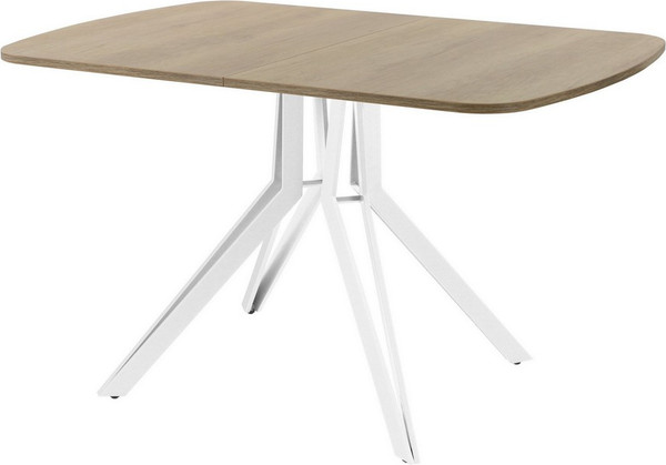 Изображение товара Обеденный стол AMC Elite Е21(1200) D2 (белый/дуб небраска натур)