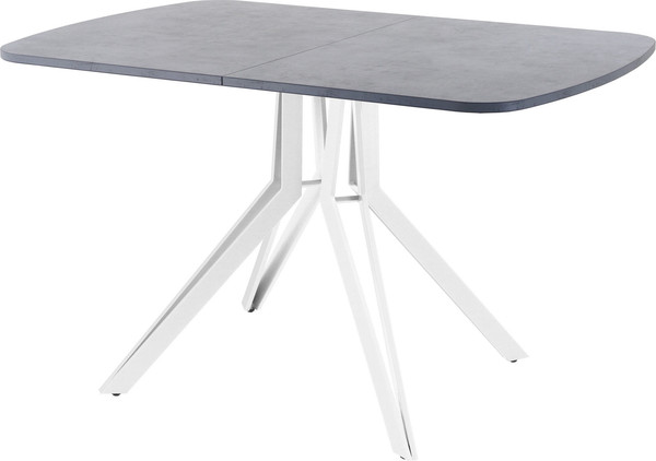 Изображение товара Обеденный стол AMC Elite Е21(1200) D2 (белый/бетон чикаго светло-серый)