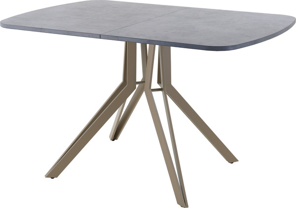 Изображение товара Обеденный стол AMC Elite Е21(1200) D2 (капучино/бетон чикаго светло-серый)