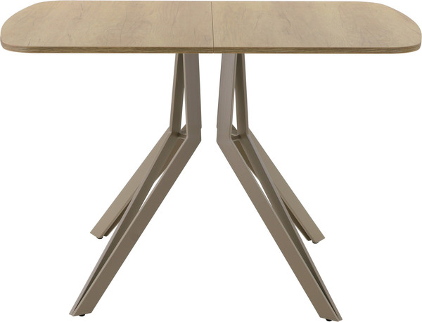 Изображение товара Обеденный стол AMC Elite Е21(1100) D2 (капучино/дуб небраска натур)