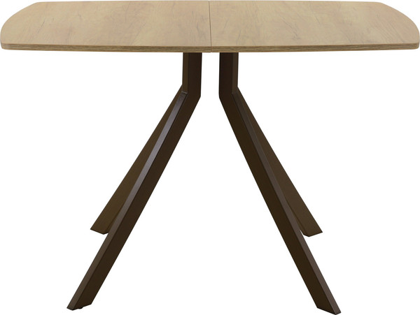 Изображение товара Обеденный стол AMC Elite Е18(1200) D6 (коричневый/дуб небраска натур)