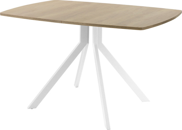 Изображение товара Обеденный стол AMC Elite Е18(1200) D6 (белый/дуб небраска натур)