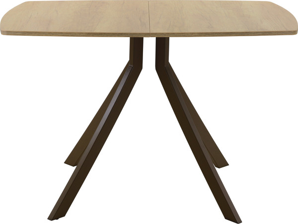 Изображение товара Обеденный стол AMC Elite Е18(1100) D6 (коричневый/дуб небраска натур)