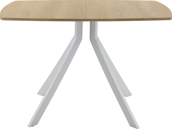 Изображение товара Обеденный стол AMC Elite Е18(1100) D6 (серебро/дуб небраска натур)