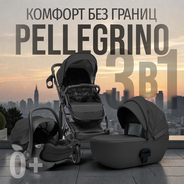 Изображение товара Детская универсальная коляска Bubago Pellegrino 3в1 / BG 163-1 (черный)