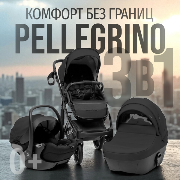 Изображение товара Детская универсальная коляска Bubago Pellegrino 3в1 / BG 163-1 (черный)