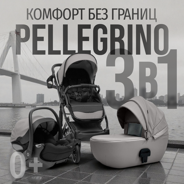 Изображение товара Детская универсальная коляска Bubago Pellegrino 3в1 / BG 163-2 (серый)