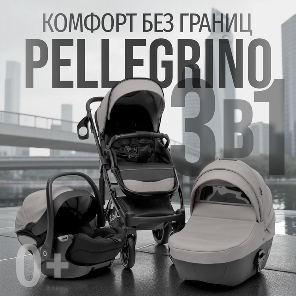 Изображение товара Детская универсальная коляска Bubago Pellegrino 3в1 / BG 163-2 (серый)