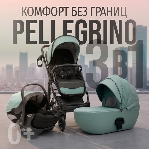 Изображение товара Детская универсальная коляска Bubago Pellegrino 3в1 / BG 163-4 (зеленый)