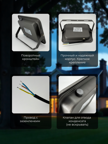 Изображение товара Прожектор Truenergy 13115
